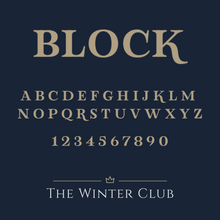 Load image into Gallery viewer, Satin Night Shirt - Copper