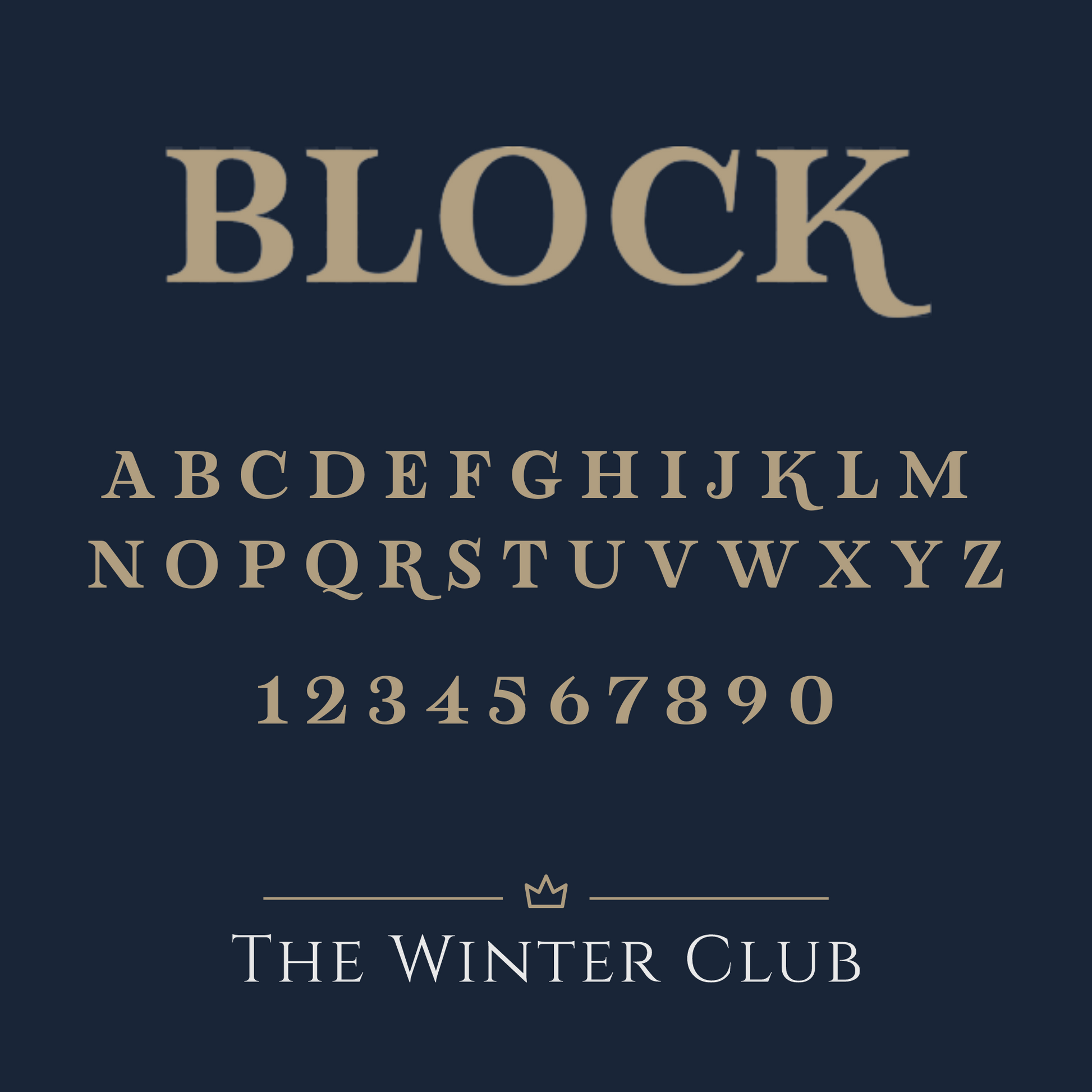 Satin Shorty Pyjamas - Silver